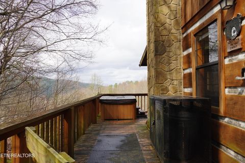 Tiny photo for 994 Emilyville Way, Cosby, TN 37722 (MLS # 1333289)