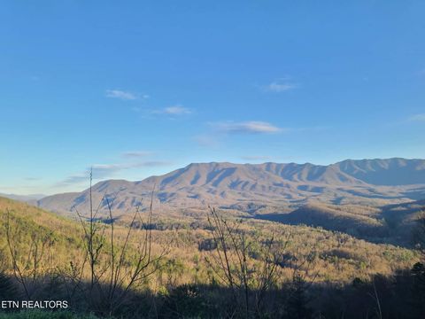 Tiny photo for 994 Emilyville Way, Cosby, TN 37722 (MLS # 1333289)