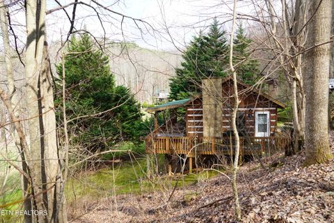 Tiny photo for 994 Emilyville Way, Cosby, TN 37722 (MLS # 1333289)