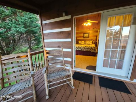 Tiny photo for 994 Emilyville Way, Cosby, TN 37722 (MLS # 1333289)