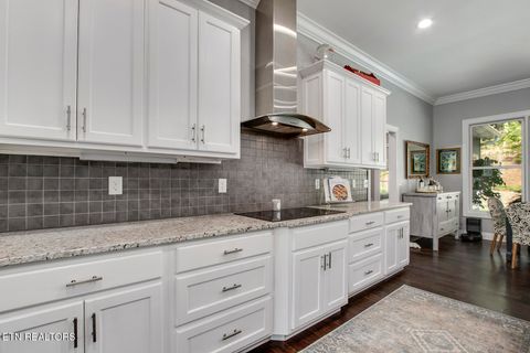 Tiny photo for 752 Old Johnston Valley Rd, Kingston, TN 37763 (MLS # 1341343)