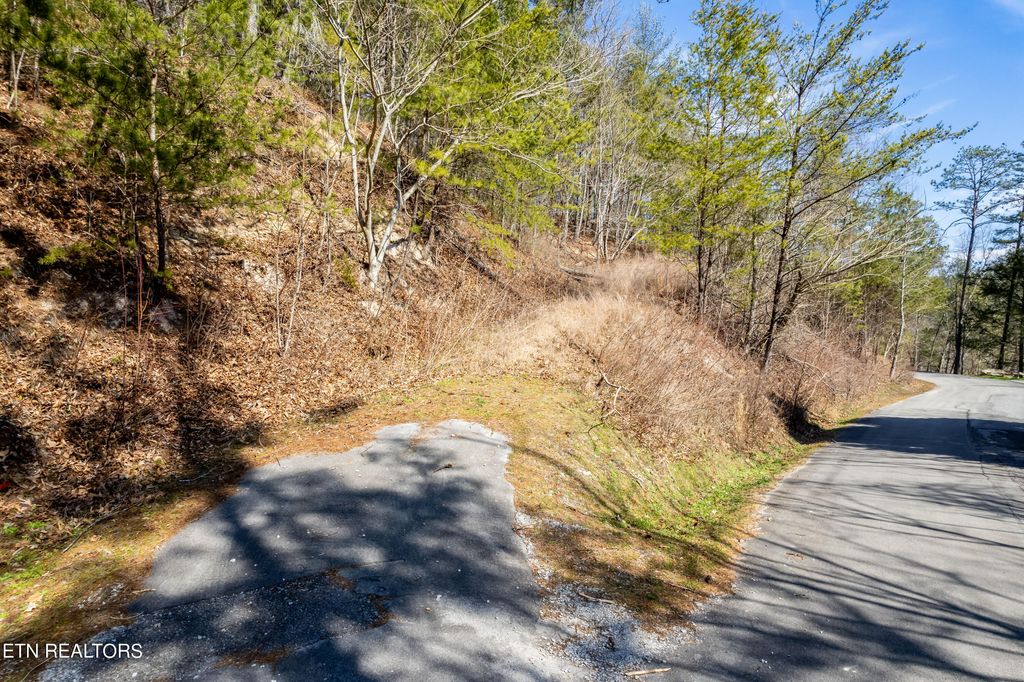Photo of 171 Anatole Pass, Townsend, TN 37882 (MLS # 1253776)