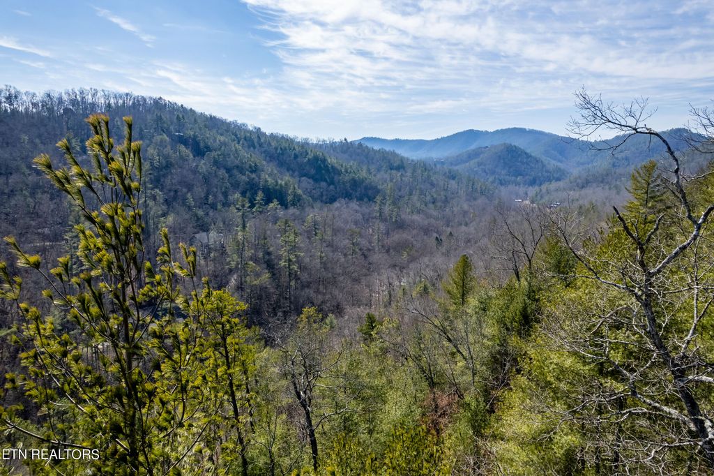 Photo of 171 Anatole Pass, Townsend, TN 37882 (MLS # 1253776)