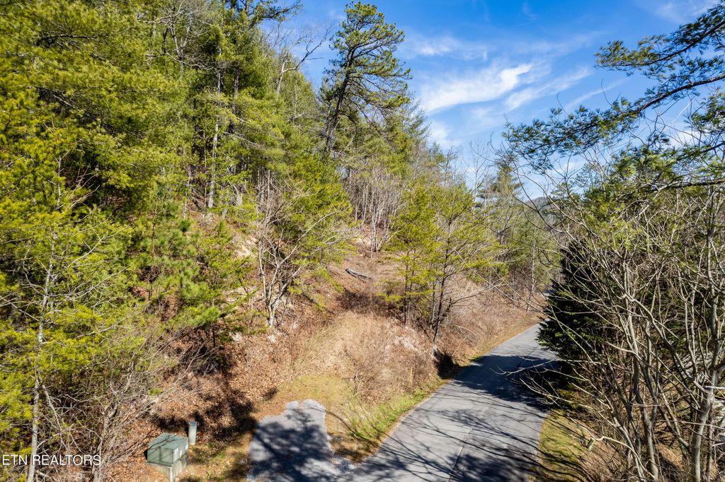 Photo of 171 Anatole Pass, Townsend, TN 37882 (MLS # 1253776)