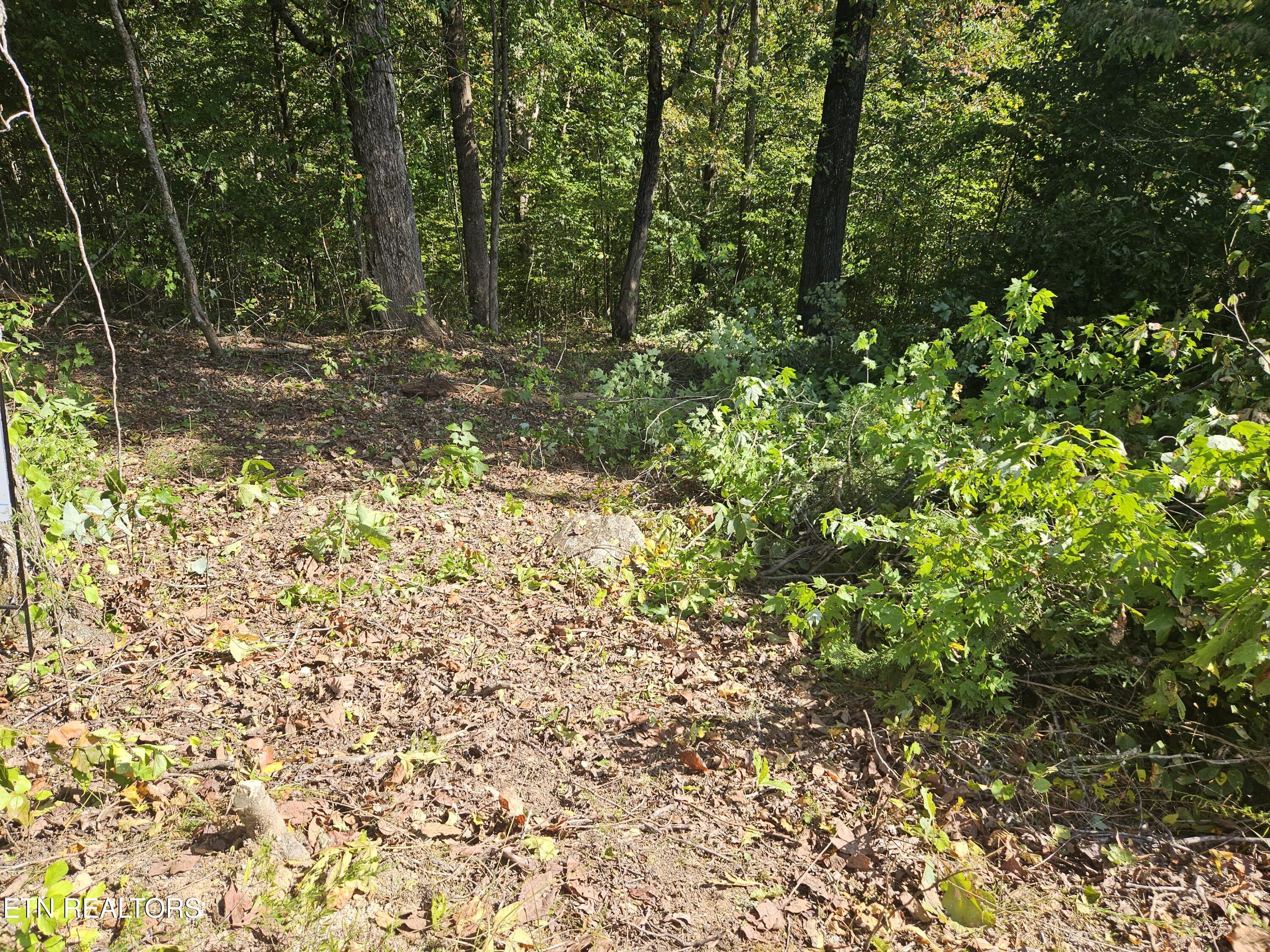 Lot 173 Saddleridge Drive