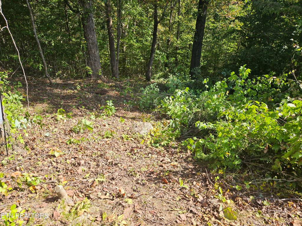 Photo of 173 Saddleridge Drive, Speedwell, TN 37870 (MLS # 1340711)