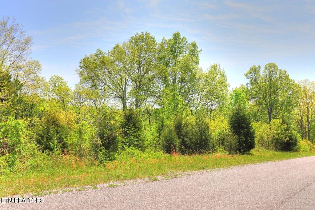 Photo of 173 Saddleridge Drive, Speedwell, TN 37870 (MLS # 1340711)