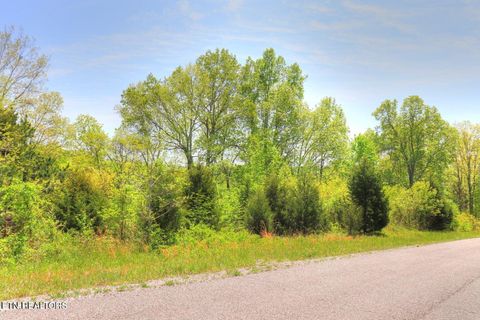 Photo of 173 Saddleridge Drive, Speedwell, TN 37870 (MLS # 1340711)