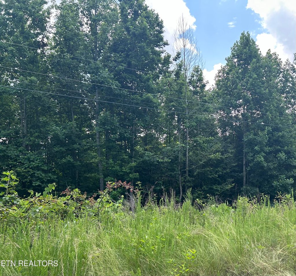 Photo of Whistle Valley Lot 564 Rd, New Tazewell, TN 37825 (MLS # 1267634)