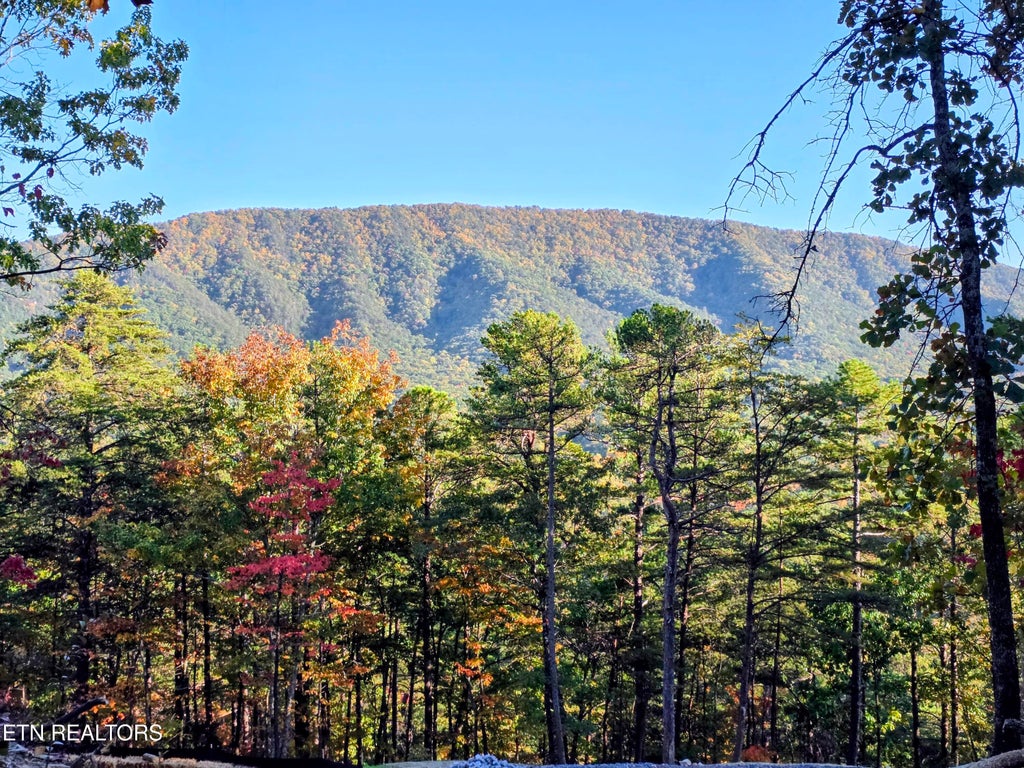 Photo of 5019 Allegheny Cove Way, Maryville, TN 37803 (MLS # 1360460)
