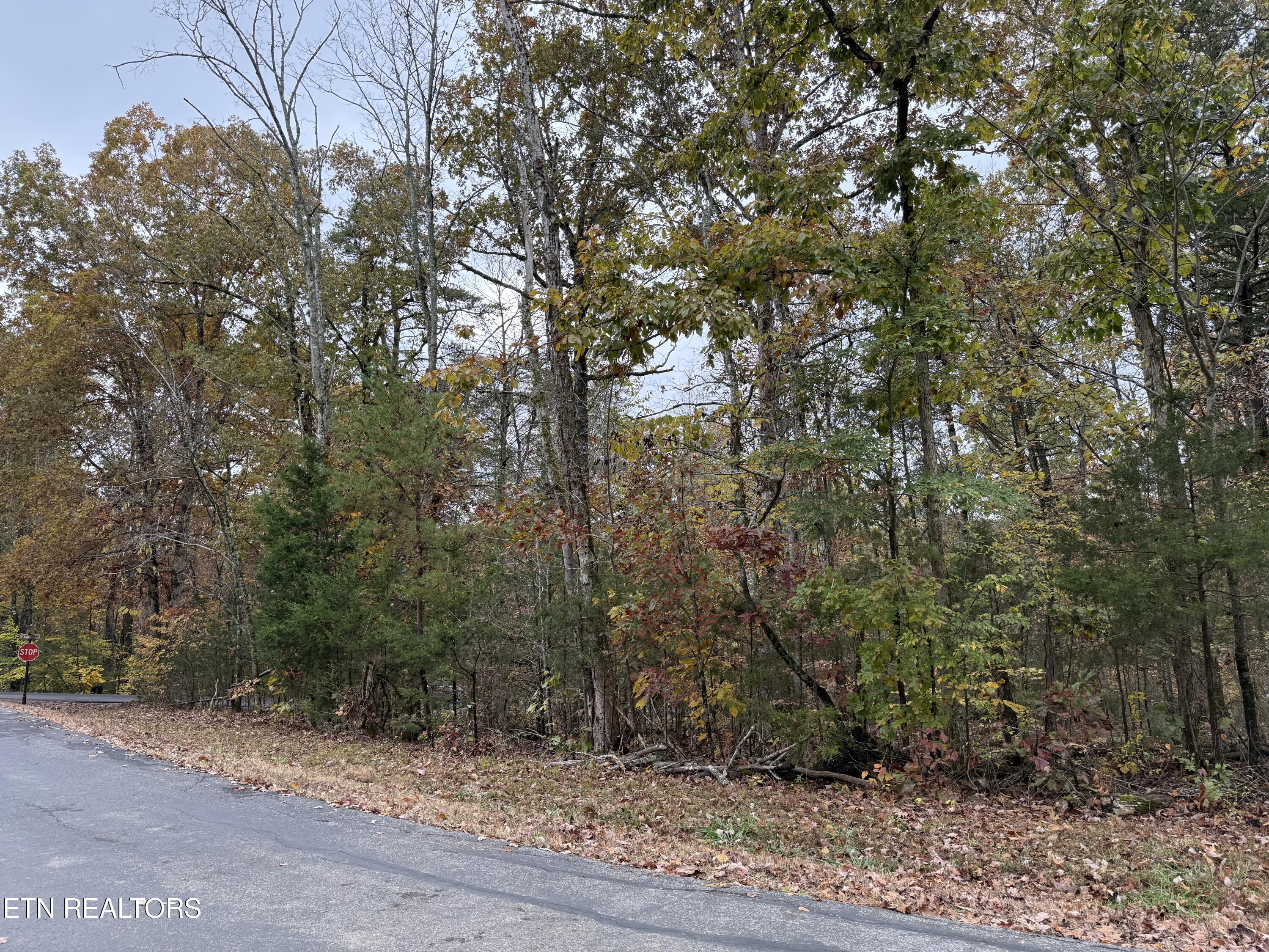 Loudon, Tennessee 37774, United States, ,Land,Active,237854