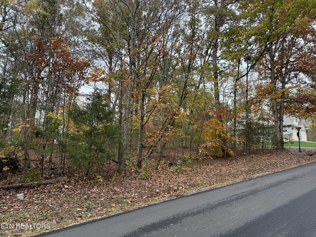 Photo of 287 Elohi Way, Loudon, TN 37774 (MLS # 1320690)