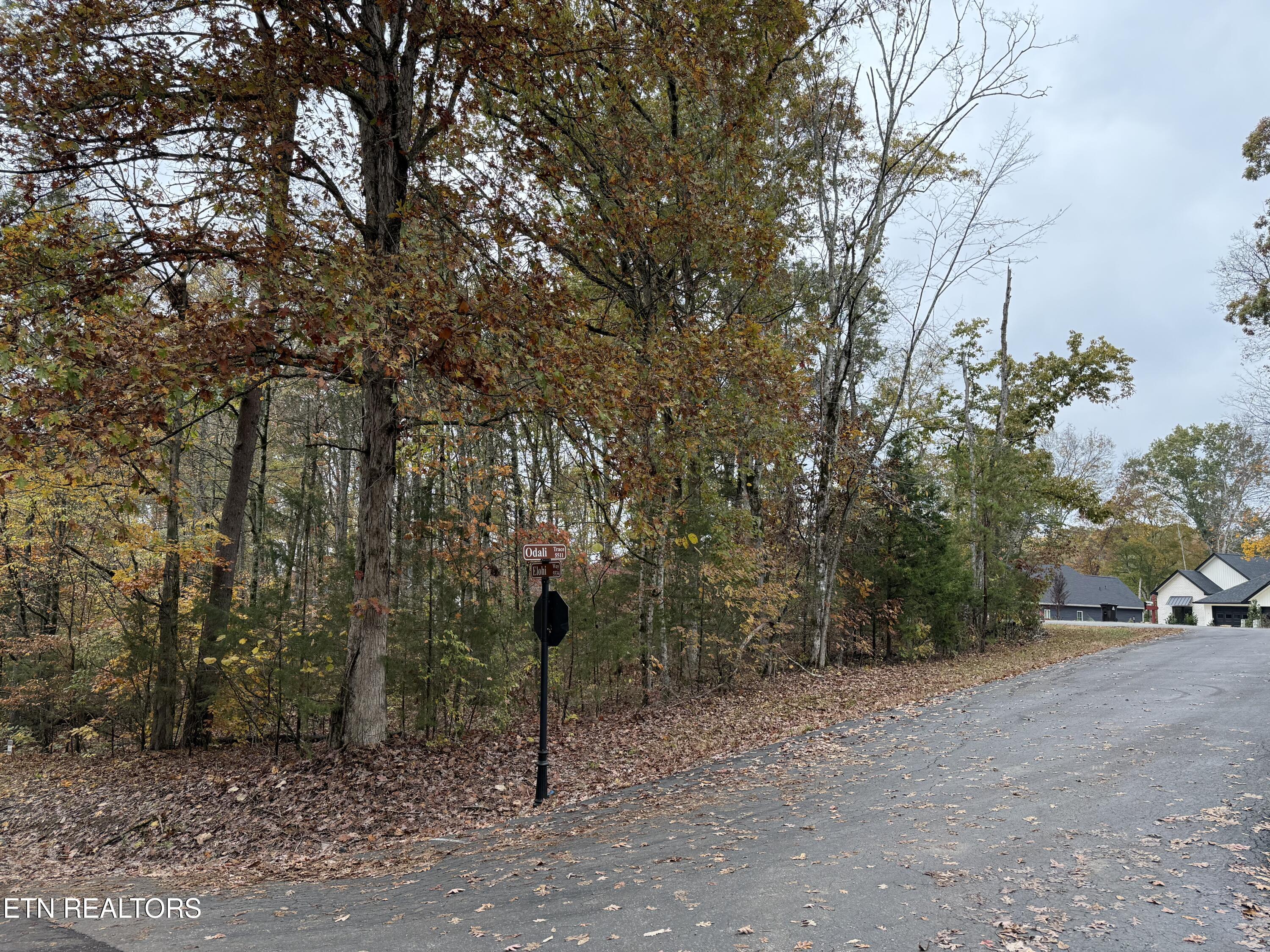 Loudon, Tennessee 37774, United States, ,Land,Active,237854