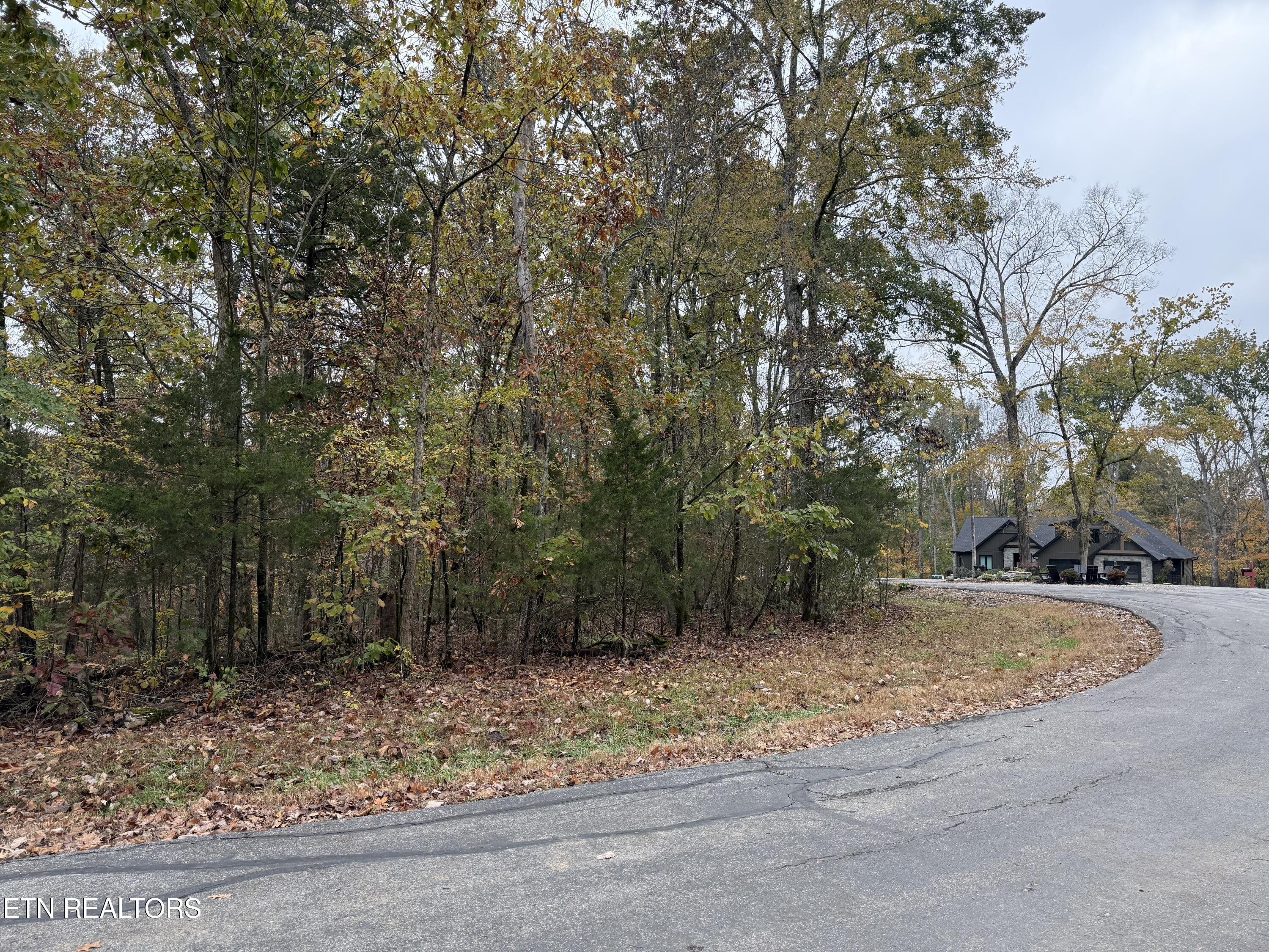 Loudon, Tennessee 37774, United States, ,Land,Active,237854