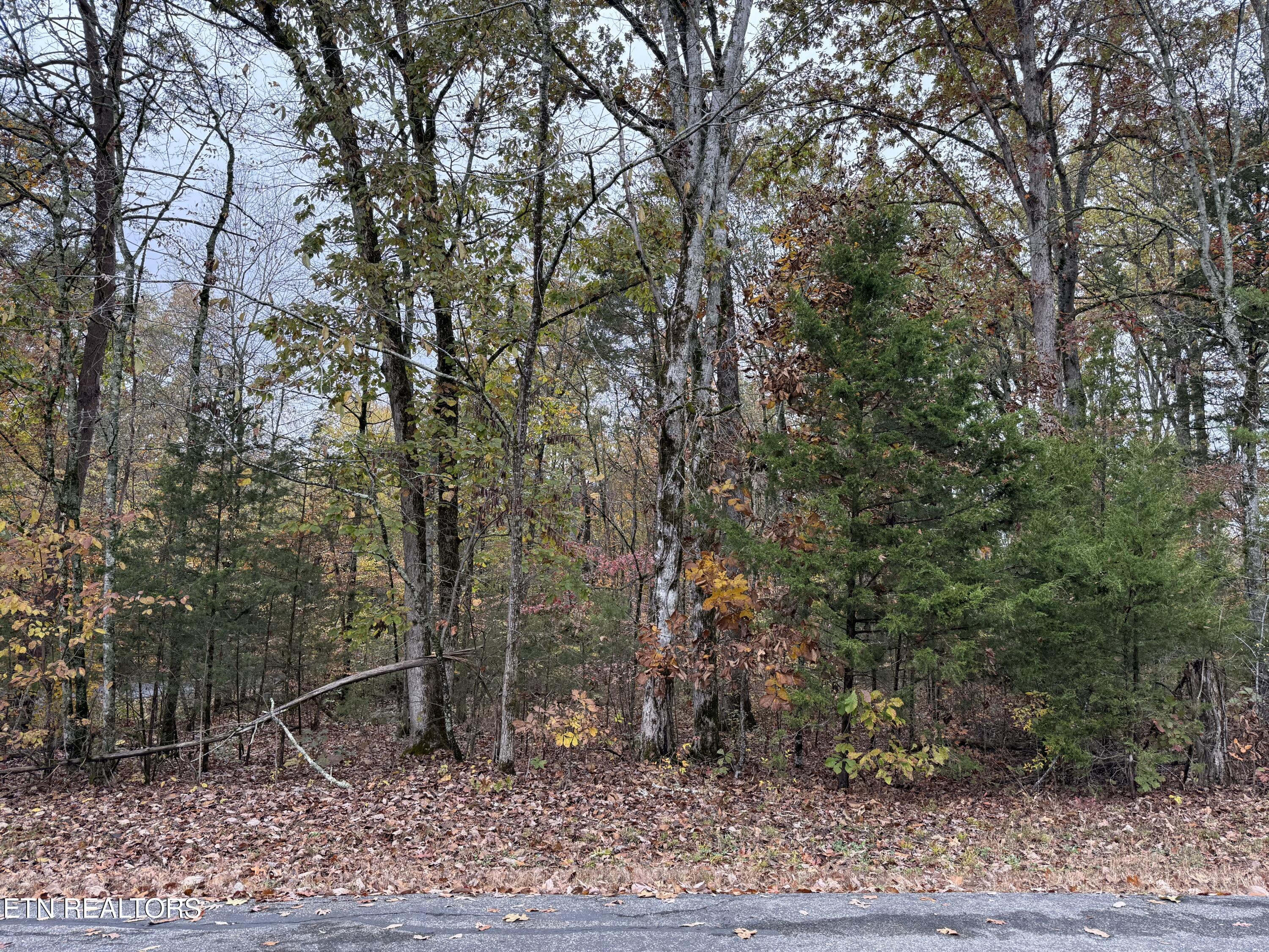 Loudon, Tennessee 37774, United States, ,Land,Active,237854