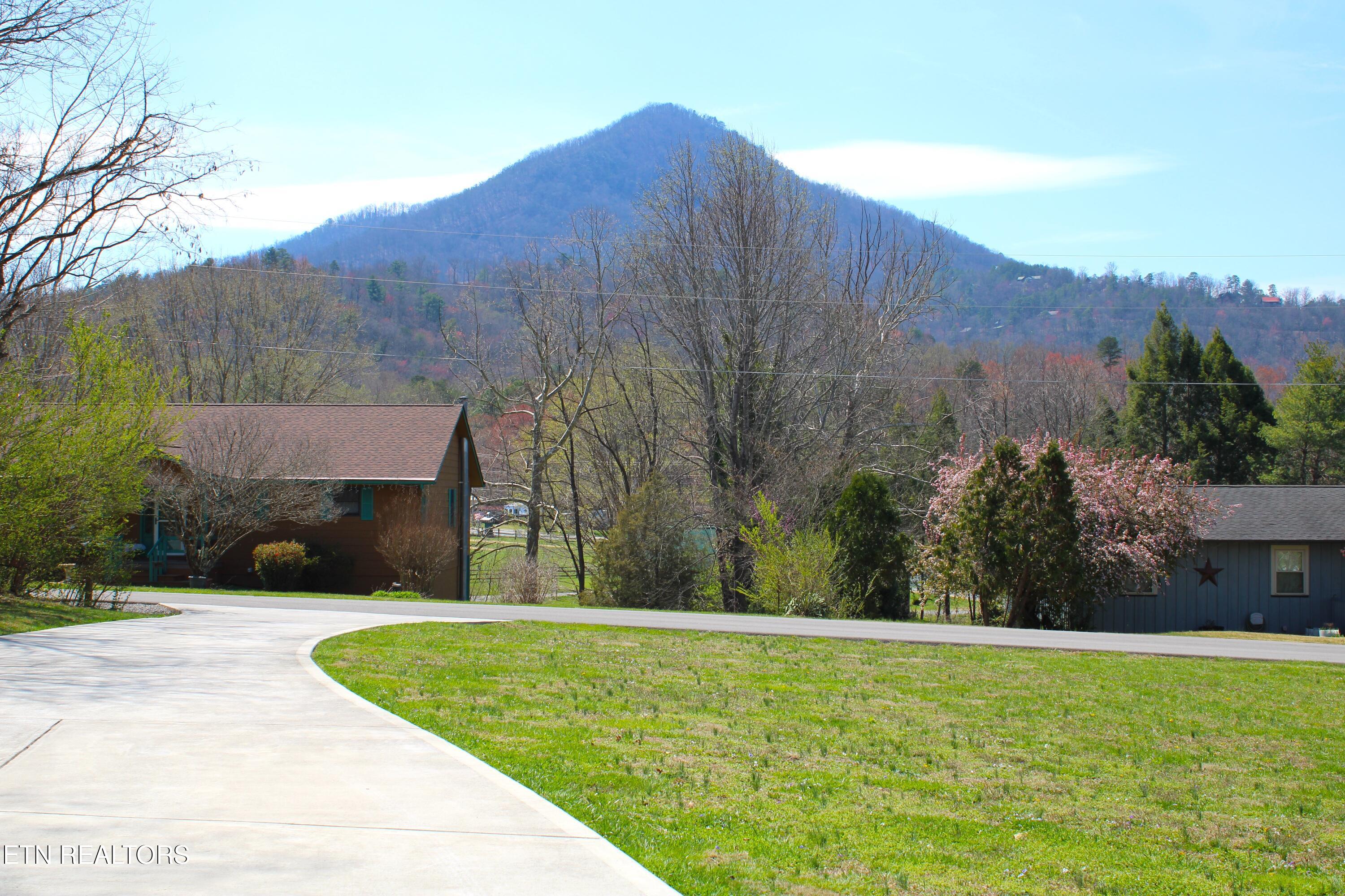 3623 Shelby Drive