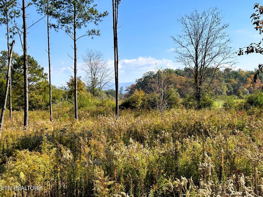 Photo of 12 Hughes Lake Rd SE, Cleveland, TN 37323 (MLS # 1329966)