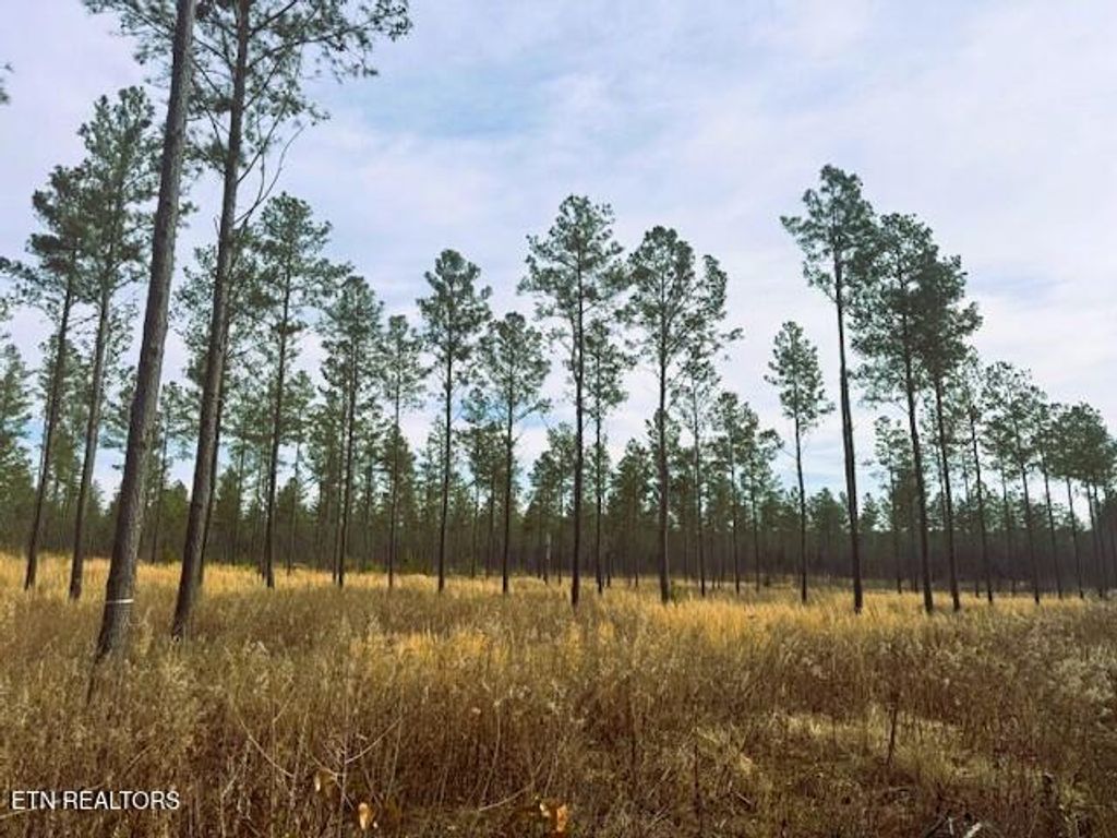 Photo of 12 Hughes Lake Rd SE, Cleveland, TN 37323 (MLS # 1329966)