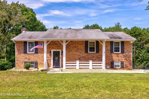 8225 Cricket Rd Powell TN 37849