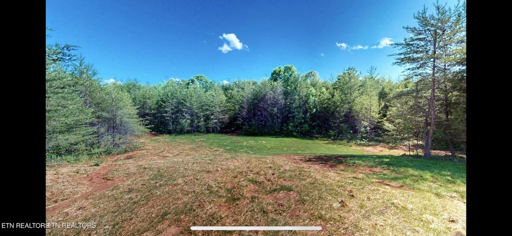 Photo of 35 AC JD Farm Rd, Tellico Plains, TN 37385 (MLS # 1315965)