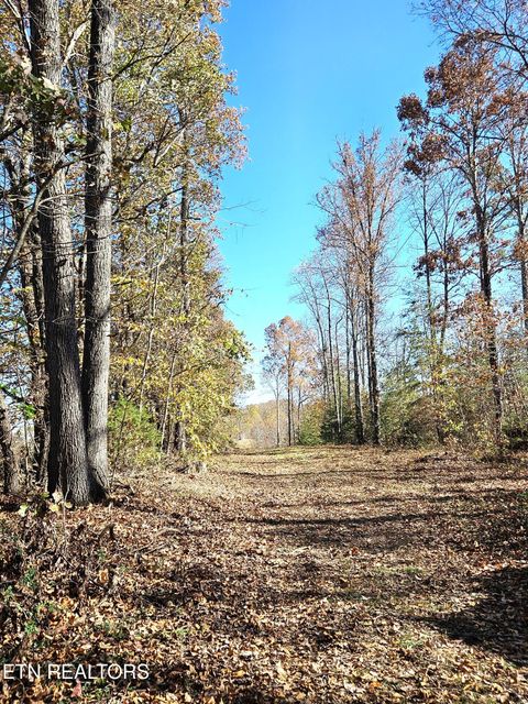 Tiny photo for Walker Rd, Sharps Chapel, TN 37866 (MLS # 1333921)