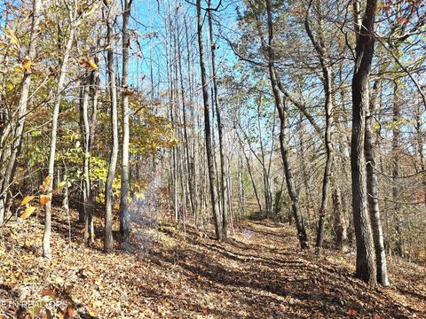 Tiny photo for Walker Rd, Sharps Chapel, TN 37866 (MLS # 1333921)