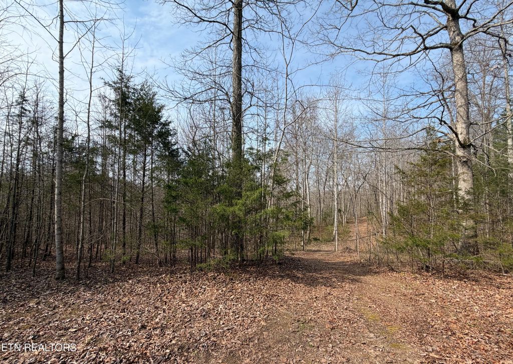 Photo of Walker Rd, Sharps Chapel, TN 37866 (MLS # 1333921)