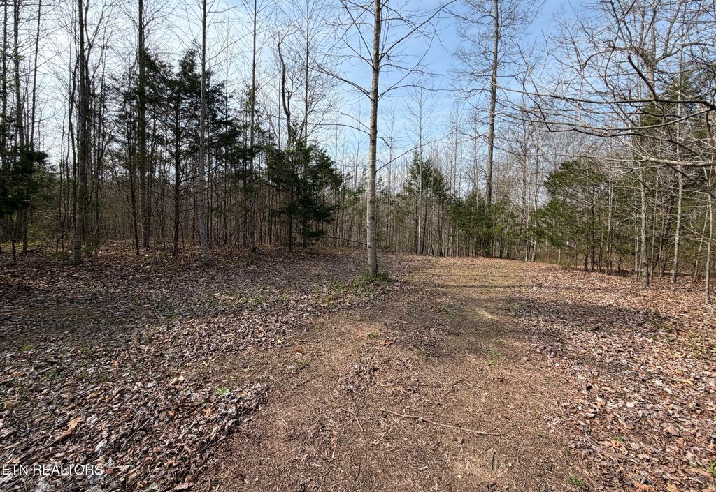 Photo of Walker Rd, Sharps Chapel, TN 37866 (MLS # 1333921)