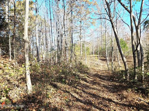 Tiny photo for Walker Rd, Sharps Chapel, TN 37866 (MLS # 1333921)