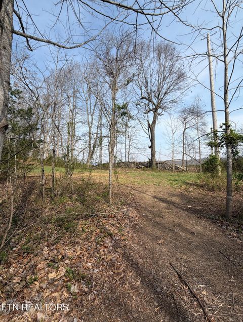 Tiny photo for Walker Rd, Sharps Chapel, TN 37866 (MLS # 1333921)