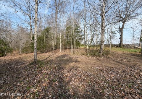 Tiny photo for Walker Rd, Sharps Chapel, TN 37866 (MLS # 1333921)
