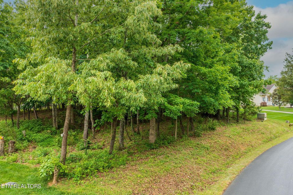 Photo of 121 Edata Tr, Vonore, TN 37885 (MLS # 1263049)