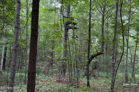 Tiny photo for 146 Bent Creek Tr, Englewood, TN 37329 (MLS # 1359807)