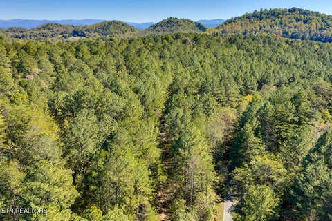 Tiny photo for 146 Bent Creek Tr, Englewood, TN 37329 (MLS # 1359807)