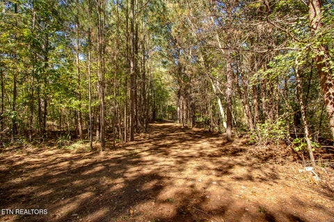 Tiny photo for 146 Bent Creek Tr, Englewood, TN 37329 (MLS # 1359807)