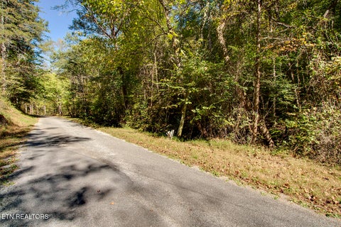 Tiny photo for 146 Bent Creek Tr, Englewood, TN 37329 (MLS # 1359807)
