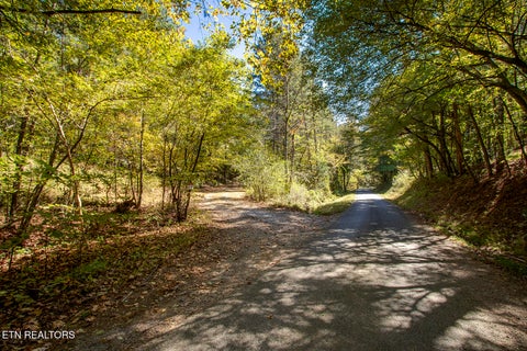 Tiny photo for 146 Bent Creek Tr, Englewood, TN 37329 (MLS # 1359807)
