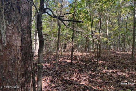Tiny photo for 146 Bent Creek Tr, Englewood, TN 37329 (MLS # 1359807)