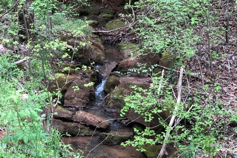 Tiny photo for 146 Bent Creek Tr, Englewood, TN 37329 (MLS # 1359807)