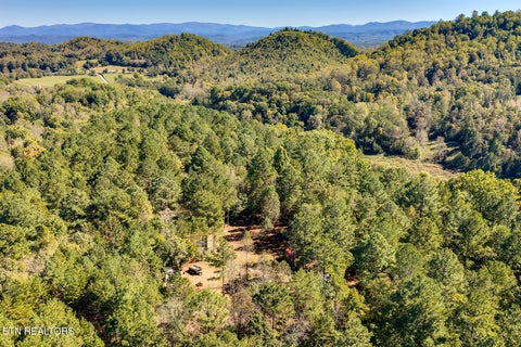 Tiny photo for 146 Bent Creek Tr, Englewood, TN 37329 (MLS # 1359807)