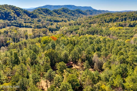 Tiny photo for 146 Bent Creek Tr, Englewood, TN 37329 (MLS # 1359807)