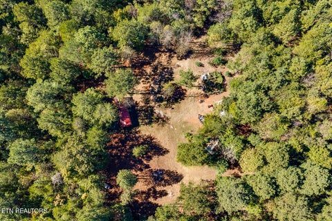 Tiny photo for 146 Bent Creek Tr, Englewood, TN 37329 (MLS # 1359807)