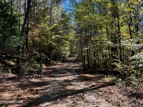 Tiny photo for 146 Bent Creek Tr, Englewood, TN 37329 (MLS # 1359807)