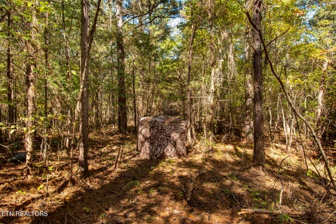 Tiny photo for 146 Bent Creek Tr, Englewood, TN 37329 (MLS # 1359807)
