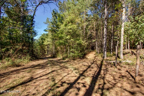 Tiny photo for 146 Bent Creek Tr, Englewood, TN 37329 (MLS # 1359807)