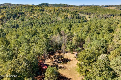 Tiny photo for 146 Bent Creek Tr, Englewood, TN 37329 (MLS # 1359807)