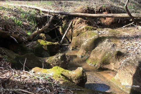 Tiny photo for 146 Bent Creek Tr, Englewood, TN 37329 (MLS # 1359807)
