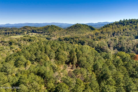 Tiny photo for 146 Bent Creek Tr, Englewood, TN 37329 (MLS # 1359807)
