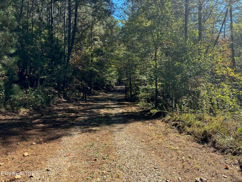 Tiny photo for 146 Bent Creek Tr, Englewood, TN 37329 (MLS # 1359807)