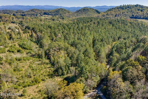 Tiny photo for 146 Bent Creek Tr, Englewood, TN 37329 (MLS # 1359807)